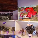 Hotel Arasta Boutique