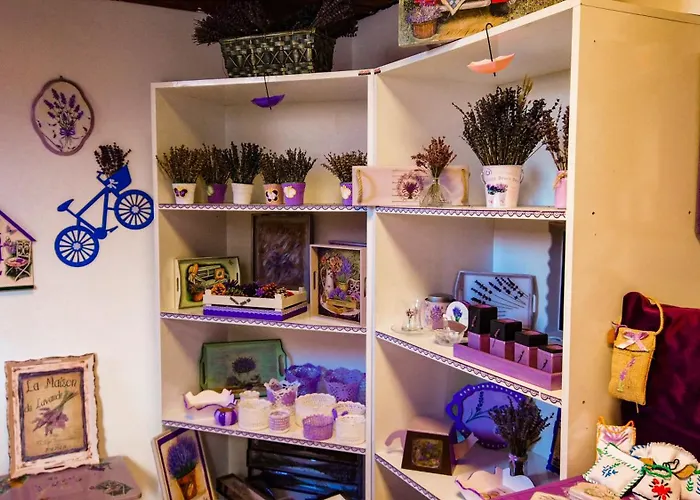 Hotel Arasta Boutique